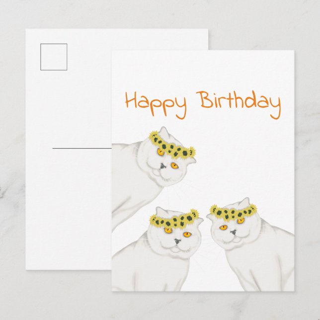 Cartão Postal Gatos brancos Feliz Aniversário (Frente/Verso)