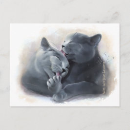 Cartão Postal Gatos britânicos de Shorthair