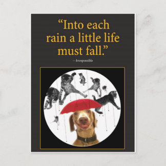 Cartão Postal Gatos Chorando!