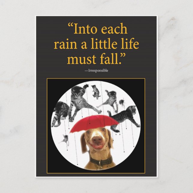 Cartão Postal Gatos Chorando! (Frente)