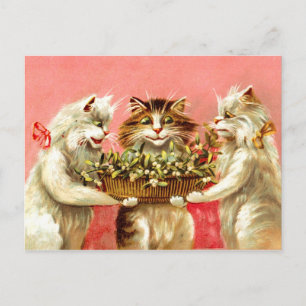 Cartão Postal Gatos com Mistletoe