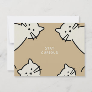 Cartão Postal Gatos Curiosos