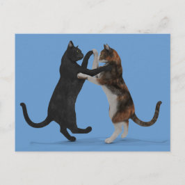 Cartão Postal Gatos Dançantes
