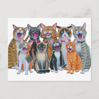 Cartão Postal Gatos De Carro