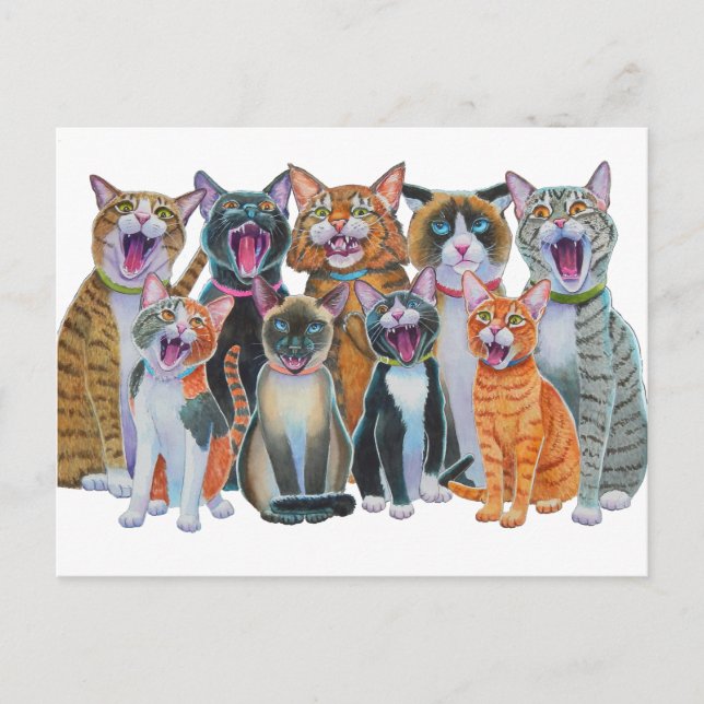 Cartão Postal Gatos De Carro (Frente)