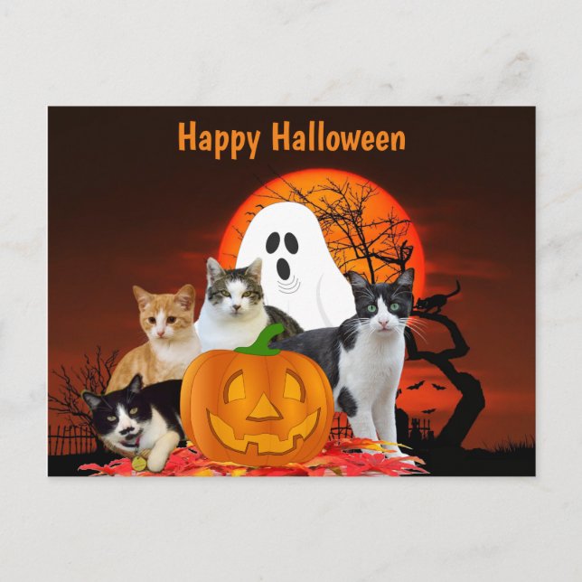 Cartão Postal Gatos de Halloween no Cemitério com Fantasma / Ama (Frente)