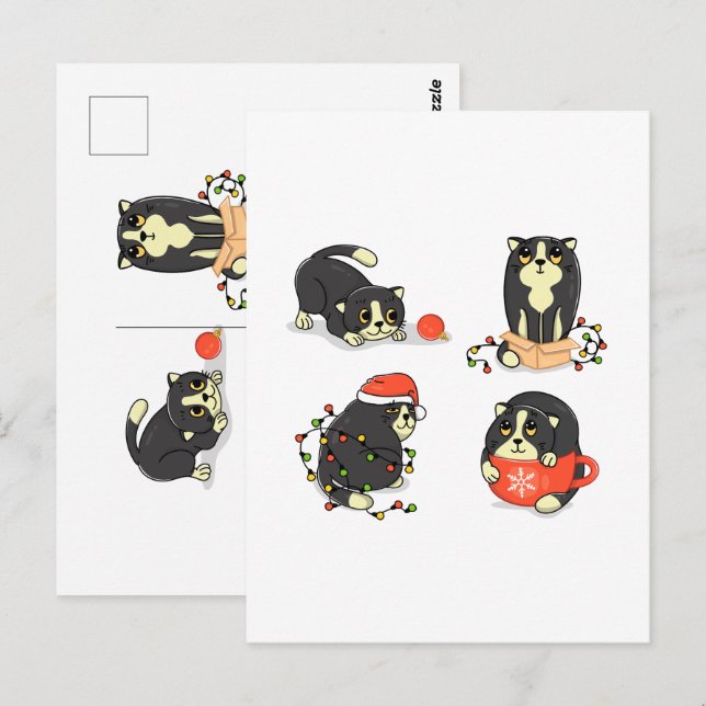 Cartão Postal Gatos de Natal bonitos e Engraçados (Frente/Verso)