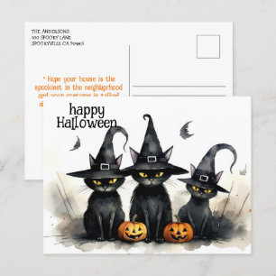 Cartão Postal Gatos de Testemunha de Cores Molhosos Pumpkins Hal