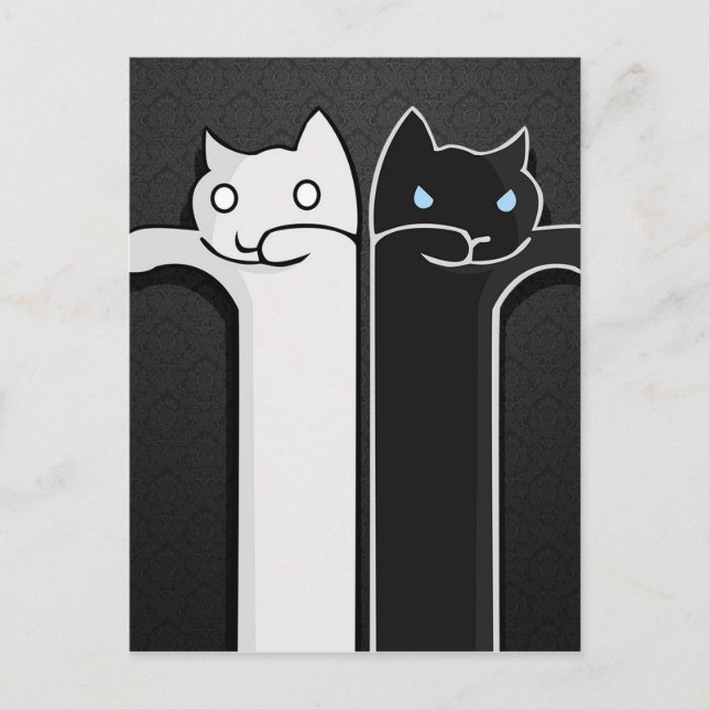 Cartão Postal Gatos de Textura Brancos Pretos (Frente)