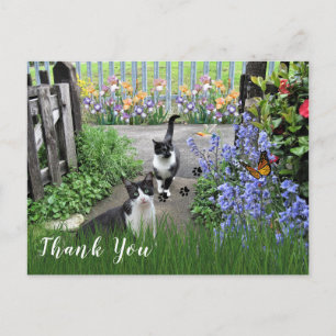 Cartão Postal Gatos de Tuxedo preto e branco no jardim Obrigado