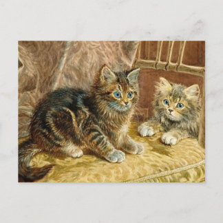 Cartão Postal Gatos de Vintage Kitty - Cartão-postal de Cat Artí