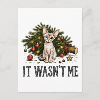 Cartão Postal Gatos Devon Rex Engraçados Natal Não Fui Eu