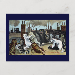 Cartão Postal Gatos Dugam-na no terraço