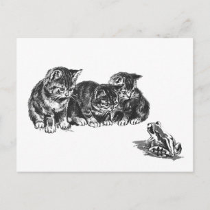 Cartão Postal Gatos e um sapo por Ernest Nister - gato vintage