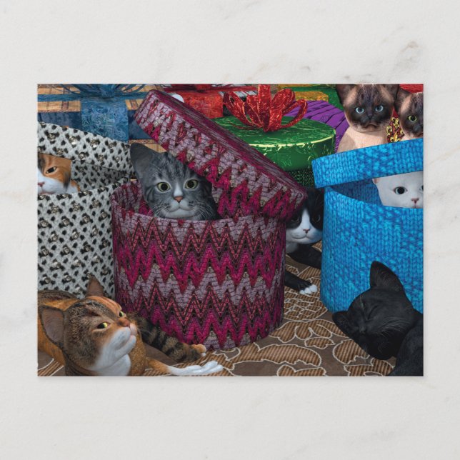 Cartão Postal Gatos Em Caixas (Frente)