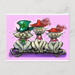Cartão Postal Gatos em Chapéus Engraçados