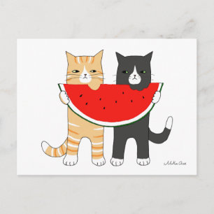 Cartão Postal Gatos Engraçados Comendo Melancia Cartão-postal