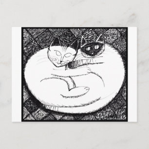 Cartão Postal Gatos Espetaculares 3