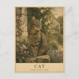 Cartão Postal Gatos Europeus Jardins Country VINTAGE