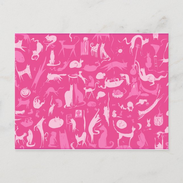 Cartão Postal Gatos! Gatos! Gatos! (Frente)