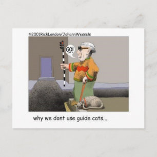 Cartão Postal Gatos Guia Presentes Divertidos de Gatos e Colecio