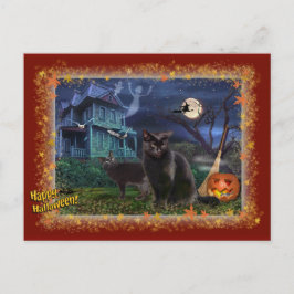 Cartão Postal Gatos Halloween