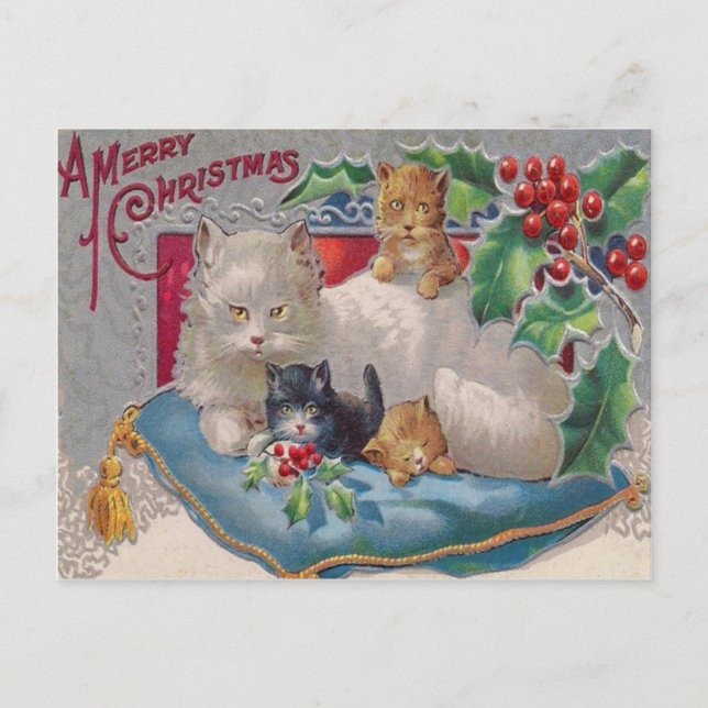 Cartão Postal Gatos & Holly (Frente)