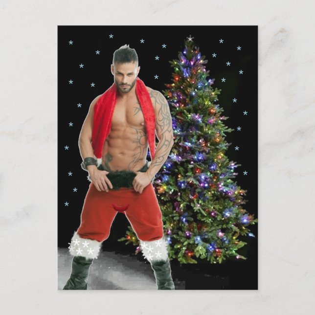 Cartão Postal Gatos Mais Gatos do Planeta! Hora da Igualdade! (Frente)