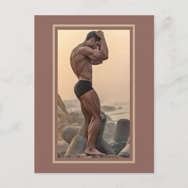 Cartão Postal Gatos Mais Gostosões do Planeta! Hora da Igualdade (Frente)