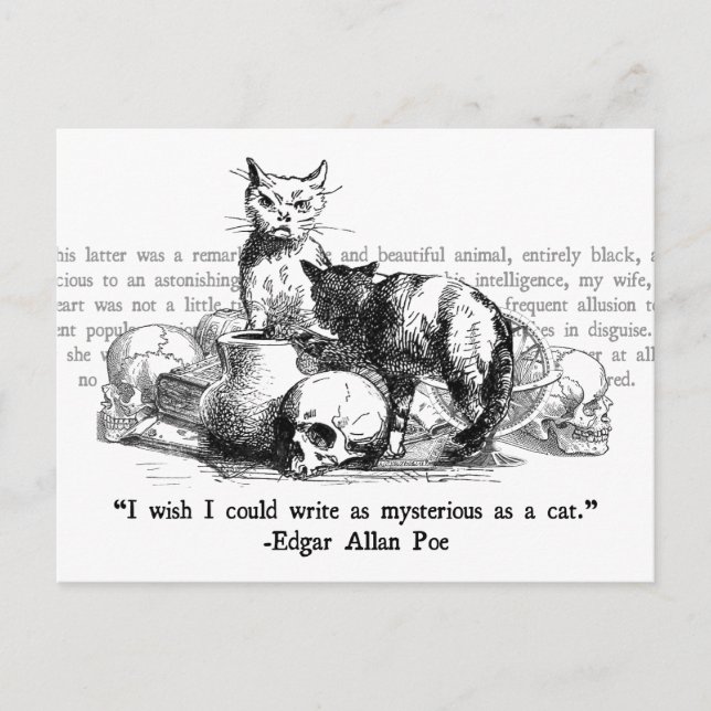 Cartão Postal Gatos Misteriosos (Frente)