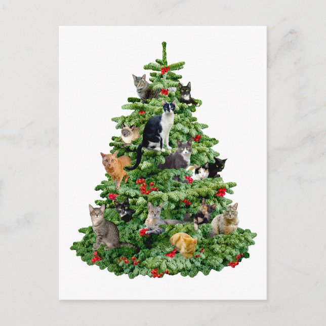 Cartão Postal Gatos na Árvore (Frente)