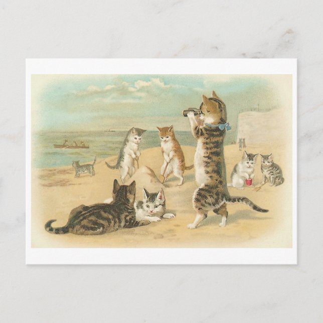 Cartão Postal "Gatos na praia" (Frente)