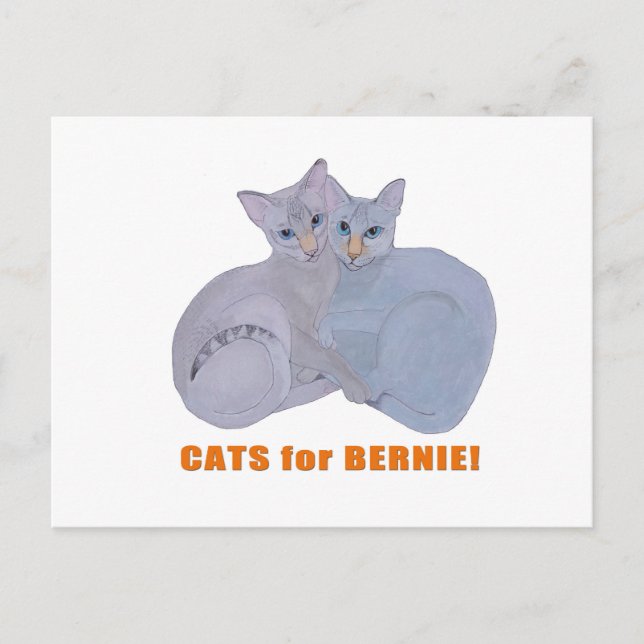 Cartão Postal Gatos para Bernie! (Frente)