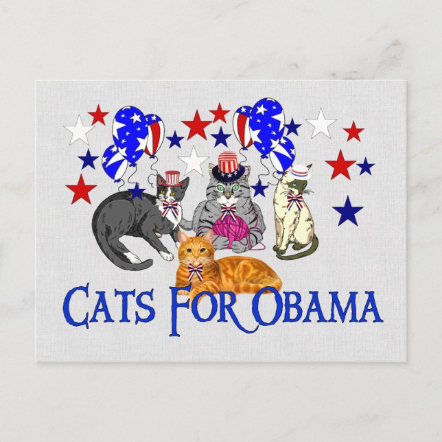 CARTÃO POSTAL GATOS PARA OBAMA (Frente)