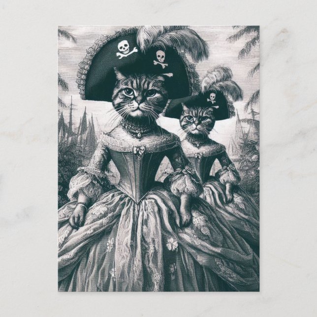 Cartão Postal Gatos Piratas (Frente)