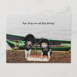 Cartão Postal Gatos Piratas Engraçados