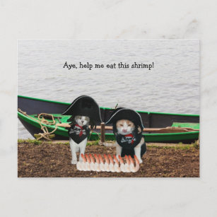 Cartão Postal Gatos Piratas Engraçados