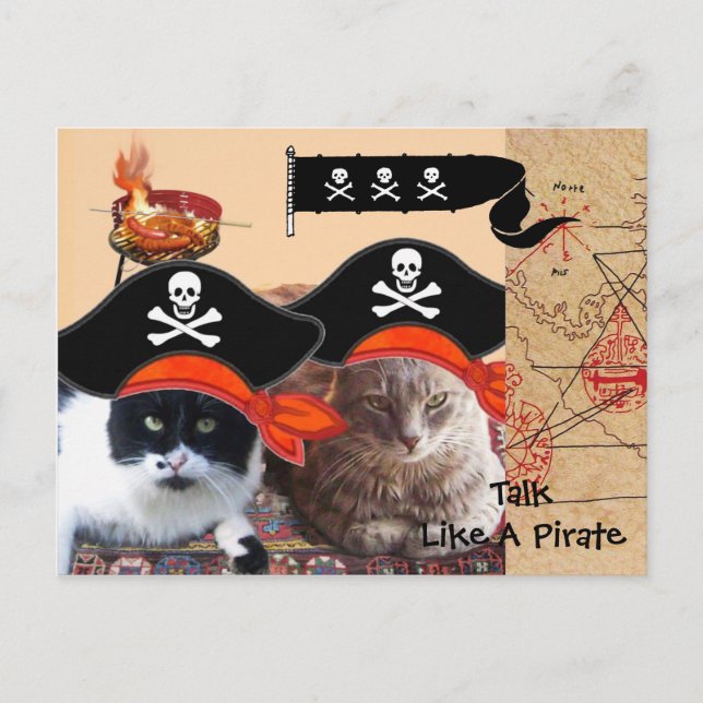 CARTÃO POSTAL GATOS PIRATAS MAPAS DO TESOURO DE PIRATAS ANTIGOS  (Frente)