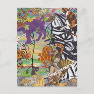 Cartão Postal Gatos podem ver um cartão-postal da Rainha