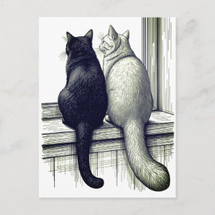 Cartão Postal Gatos Pretos e Brancos na Janela