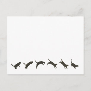 Cartão Postal Gatos Pulando