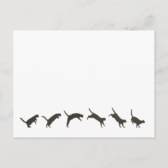 Cartão Postal Gatos Pulando (Frente)
