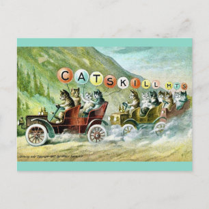 Cartão Postal Gatos Raros da Montanha Catskill