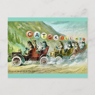 Cartão Postal Gatos Raros da Montanha Catskill