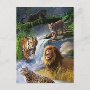 Cartão Postal Gatos Selvagens