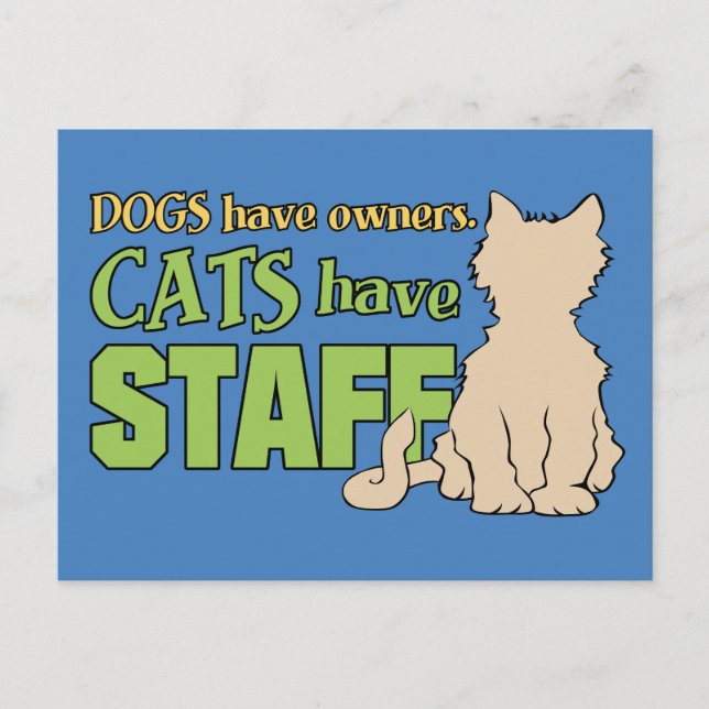 Cartão Postal GATOS TÊM FUNCIONARIOS postal (Frente)