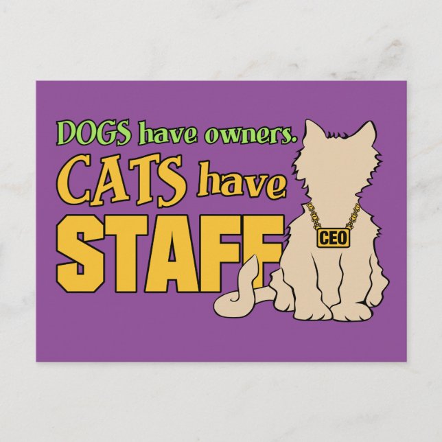 Cartão Postal GATOS TÊM FUNCIONARIOS postal (Frente)