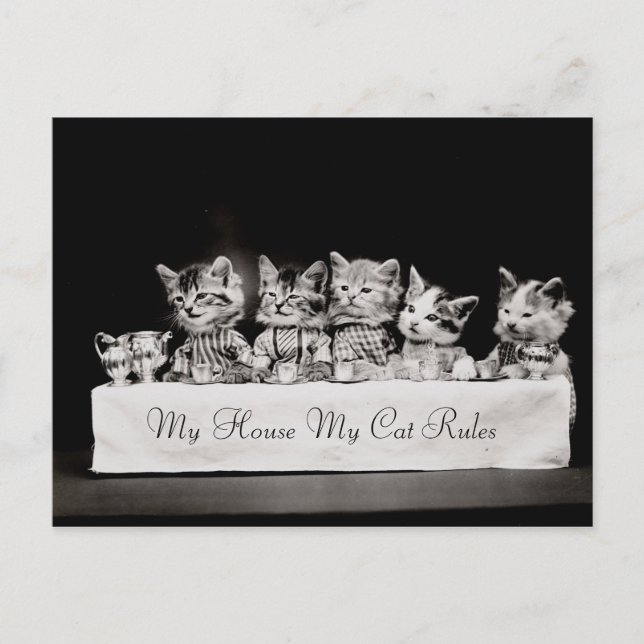 Cartão Postal Gatos Vintage Tea Vestidos (Frente)