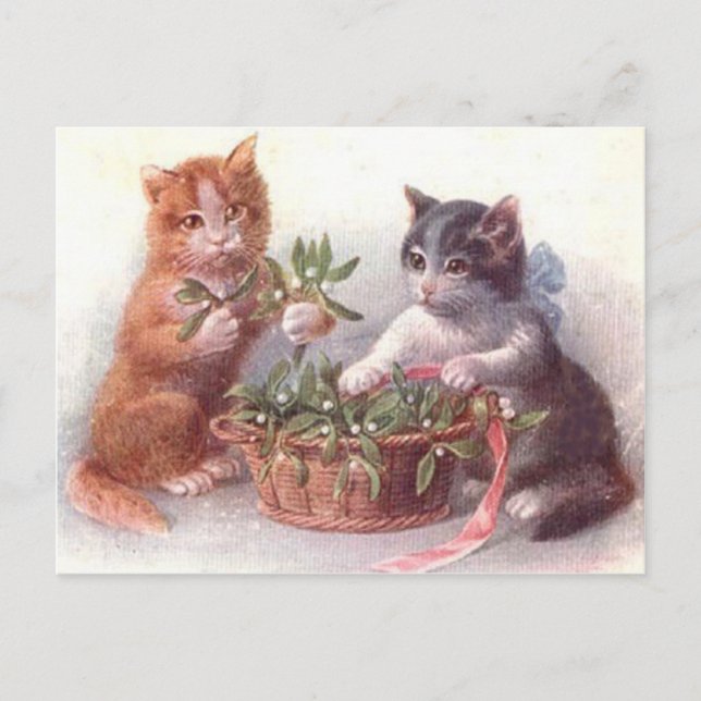 Cartão Postal Gatos & Visco (Frente)