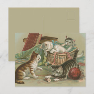 Cartão Postal Gatos Vitorianos Antigos Brincando na Cesta de Cos